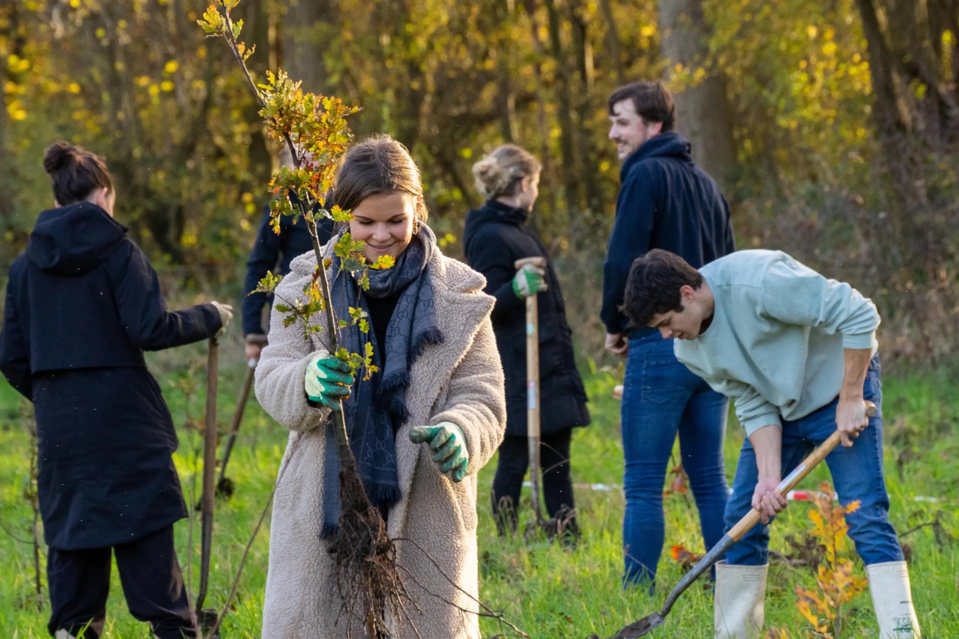 Klimaatbestendige bossen in Nederland