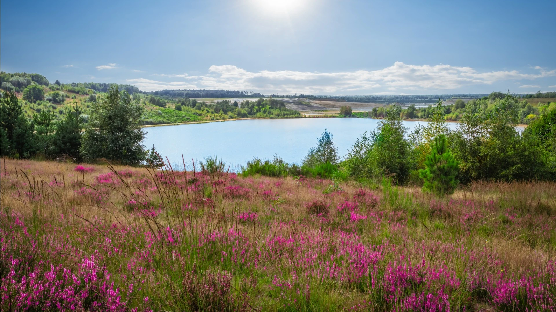 Luxus Camping in Nord-Brabant