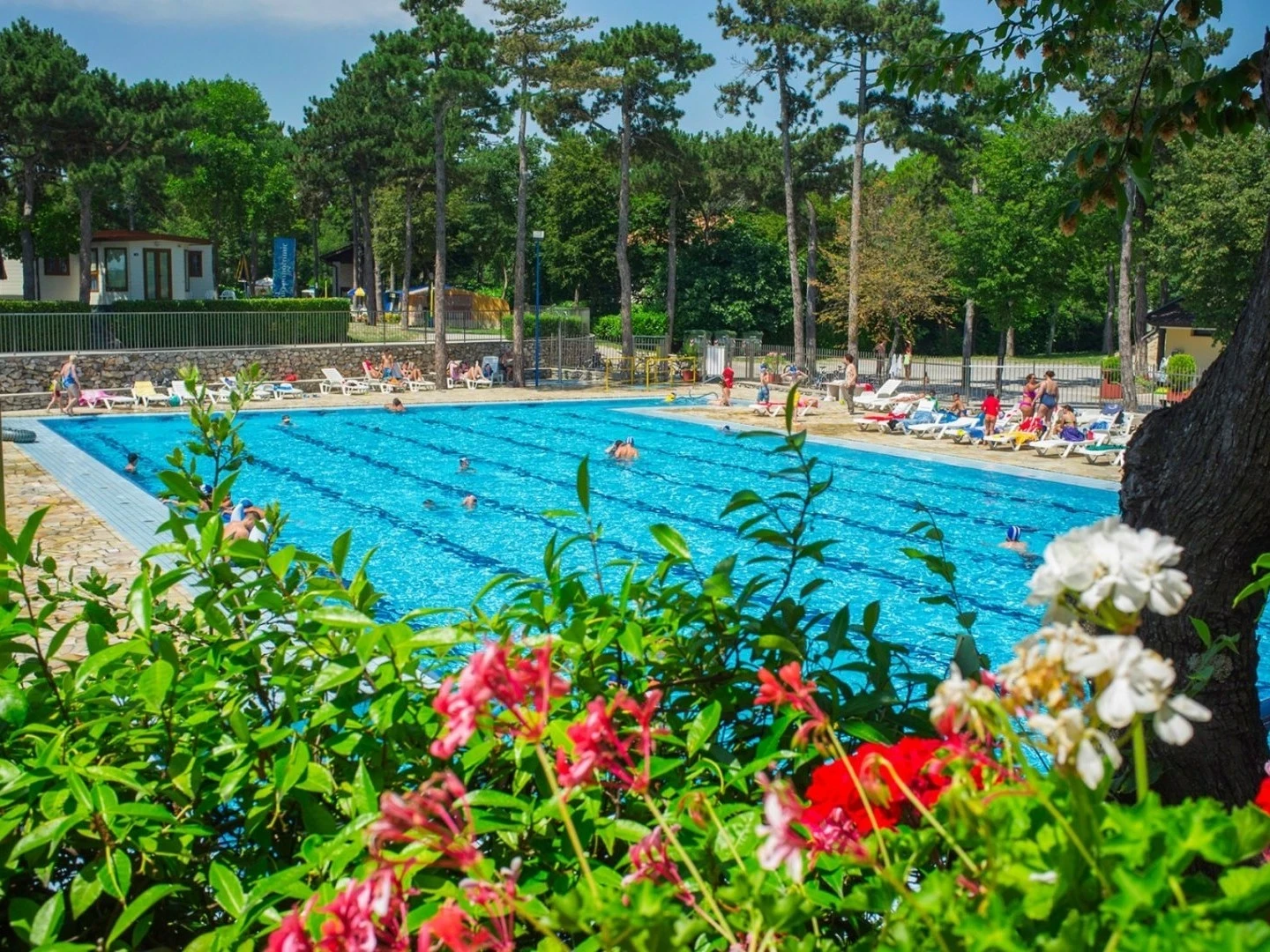 Come enjoy Camping Village Mare Pineta  Estivotravel