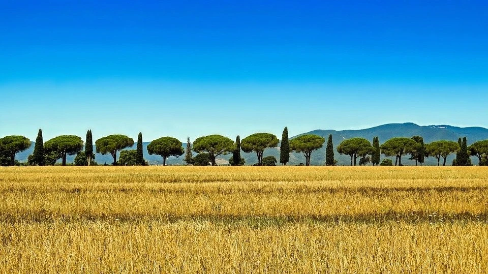 Toscana